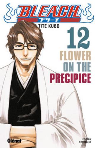 Bleach - Volume 12