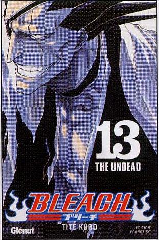 Bleach - Volume 13