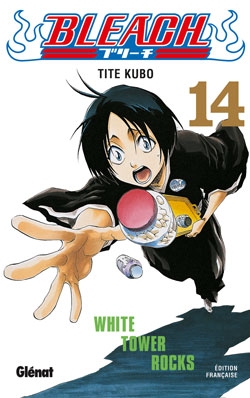 Bleach - Volume 14