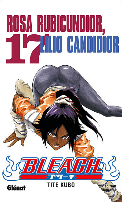 Bleach - Volume 17