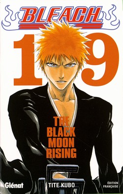 Bleach - Volume 19