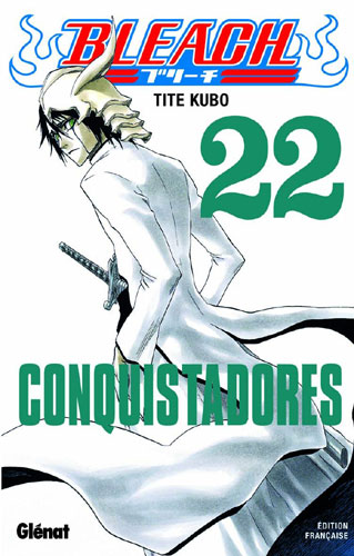 Bleach - Volume 22