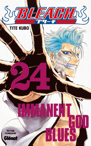 Bleach - Volume 24