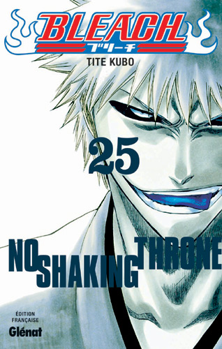 Bleach - Volume 25