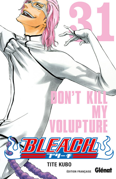 Bleach - Volume 31