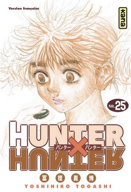 Hunter x Hunter - Volume 25