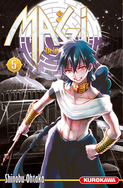 Magi: The Labyrinth of Magic - Volume 5