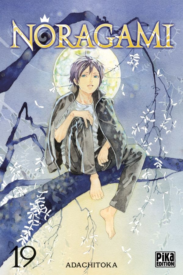 Noragami - Volume 19