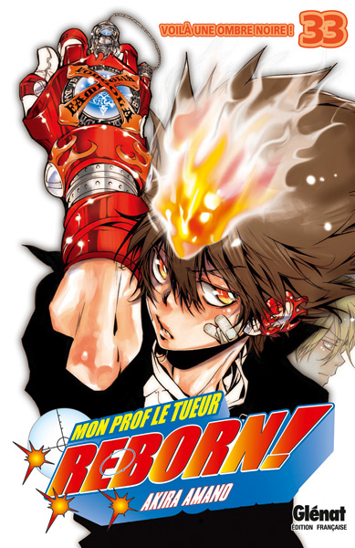 Katekyo Hitman Reborn! - Volume 33